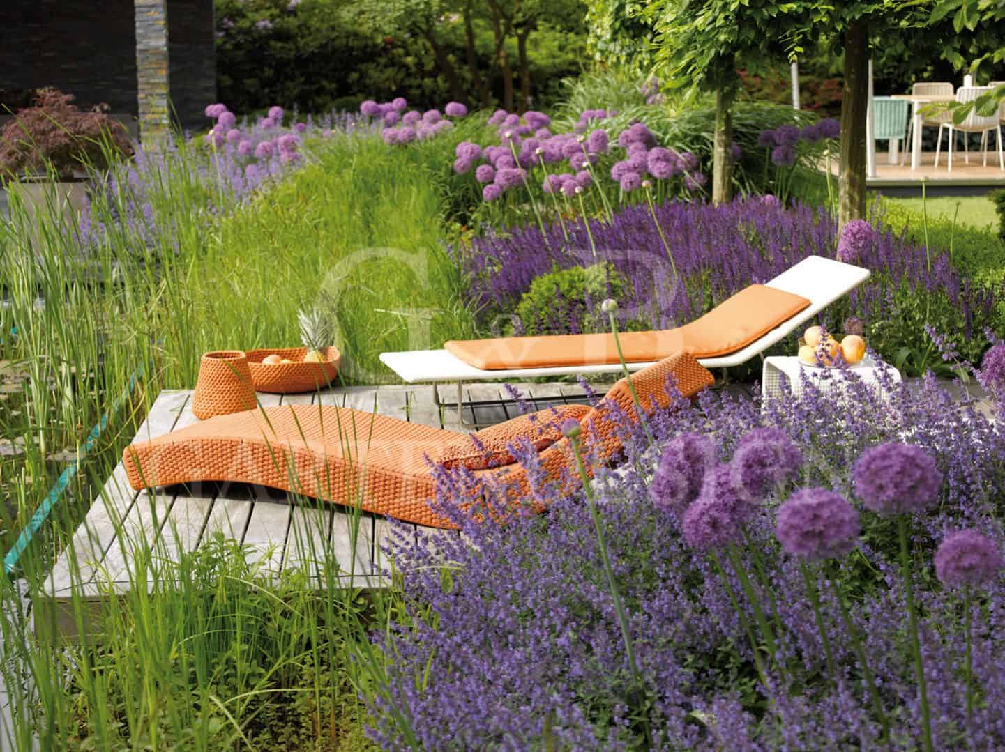 PFLANZEN | FORMGEHÖLZE | Gempp Gartendesign