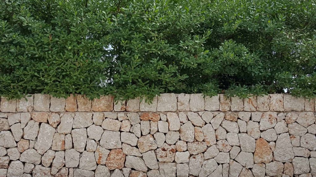 Naturstein Granit Kalkstein Gartenmauer bauen