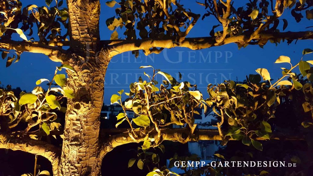 Dachterrassengestaltung landschaftsarchitekt gartengestalter gartenbau hamburg Berlin