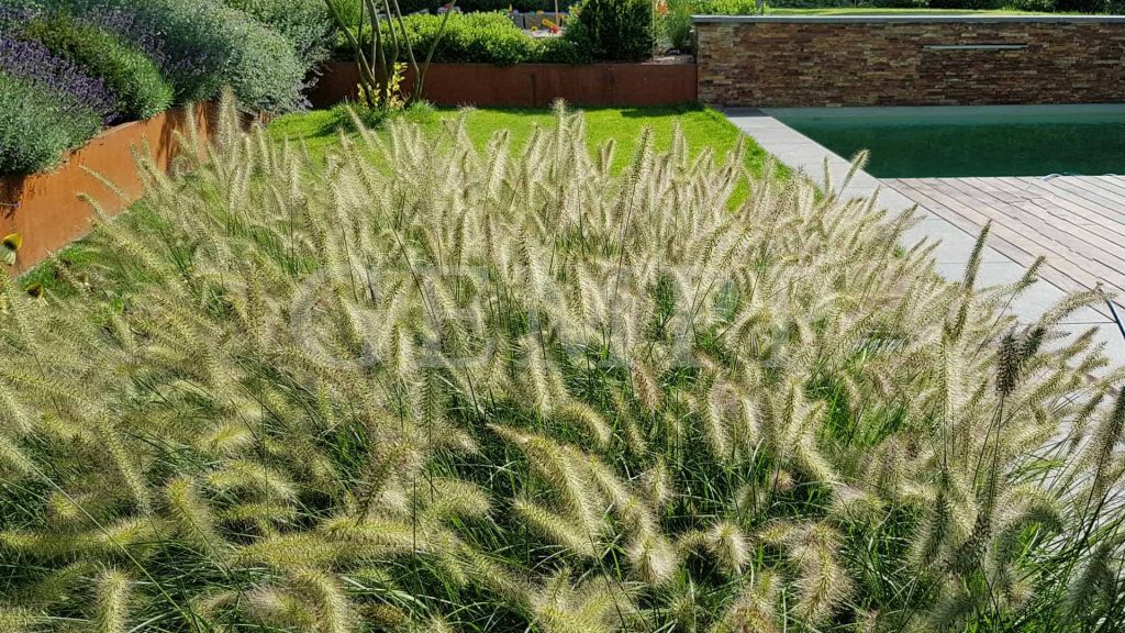 Außensauna im Garten