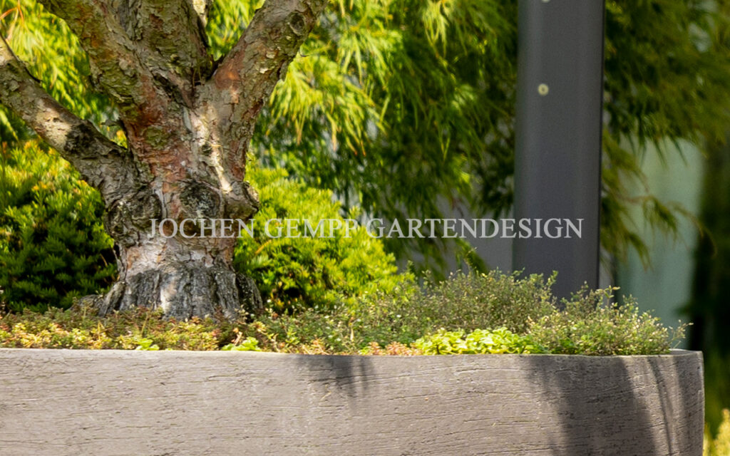 Gartendesign Berlin