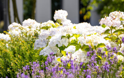 Gartengestalter Berlin