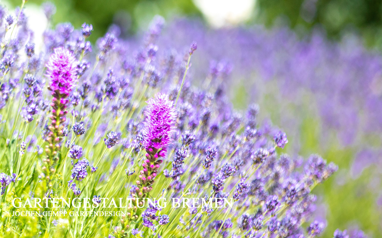 Gartengestaltung Gartenbau Landschaftsbau Bremen