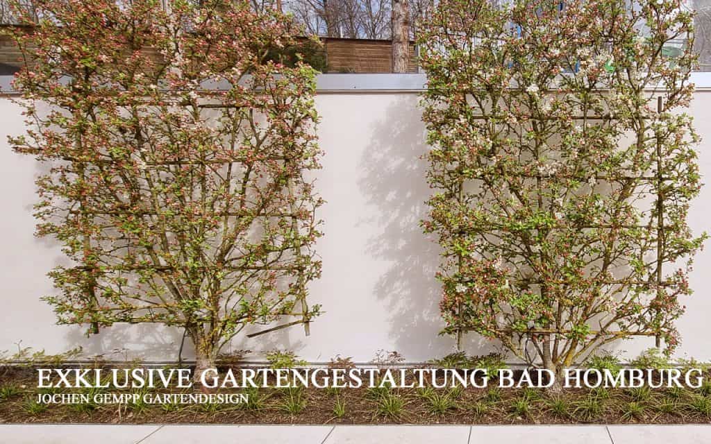 gartengestalter bad homburg hochtaunuskreis