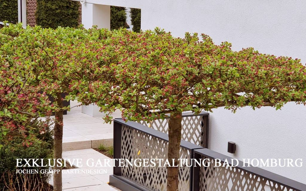yoga terrasse