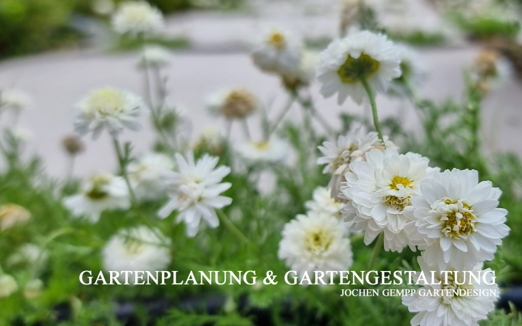 Garten und Landschaftsbau Pinneberg