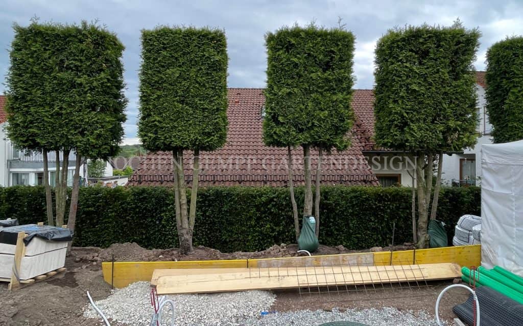 Gartenplanung Gartengestaltung Landschaftsarchitekt Berlin