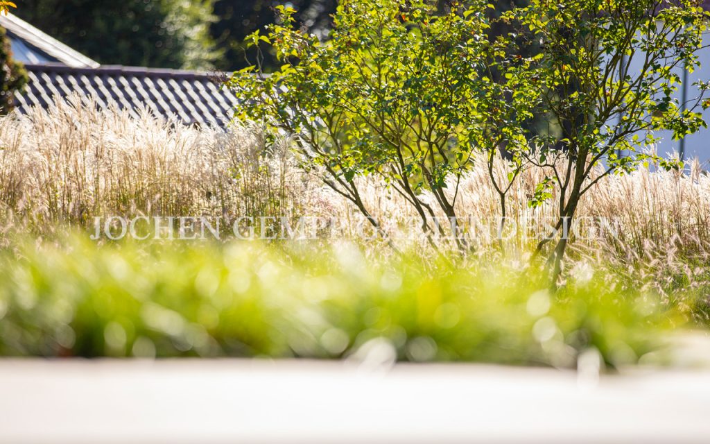 gewerbeflächen neu anlegen gartenbau