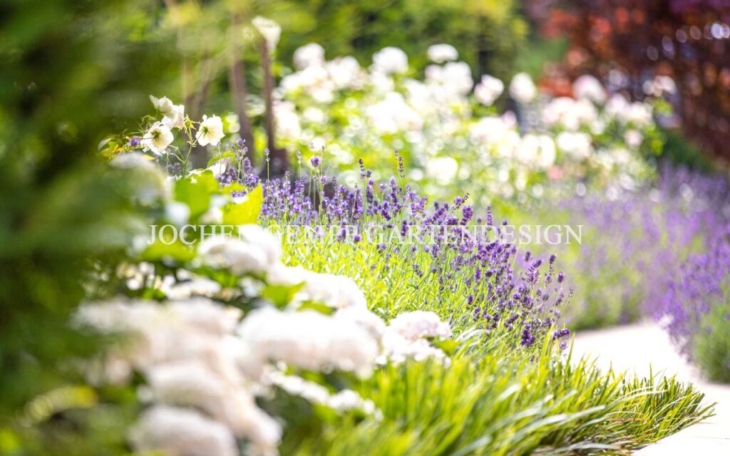 Der GARTENPROFI in TV Gartensendungen Jochen Gempp Gartendesign